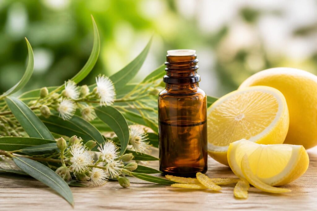 découvrez les bienfaits de l'huile essentielle d'eucalyptus citronné, ses propriétés thérapeutiques et ses limites d'utilisation pour une utilisation sûre et efficace.
